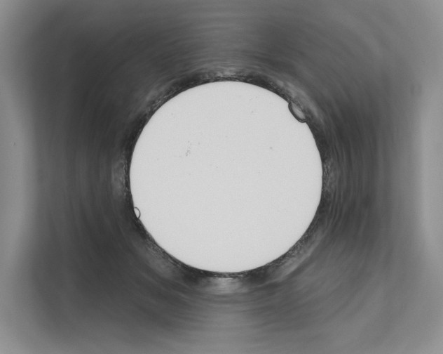 X0000111020509200907310934