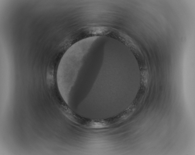 X0000111020510200907310934