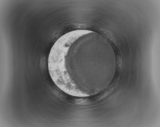 X0000111020511200907310934