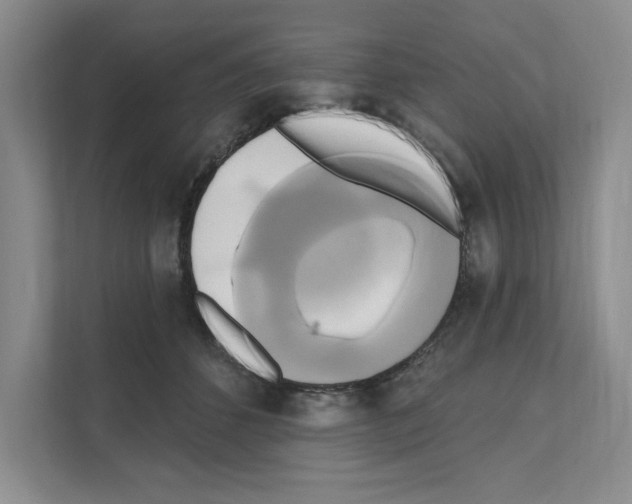 X0000111020512200907310934