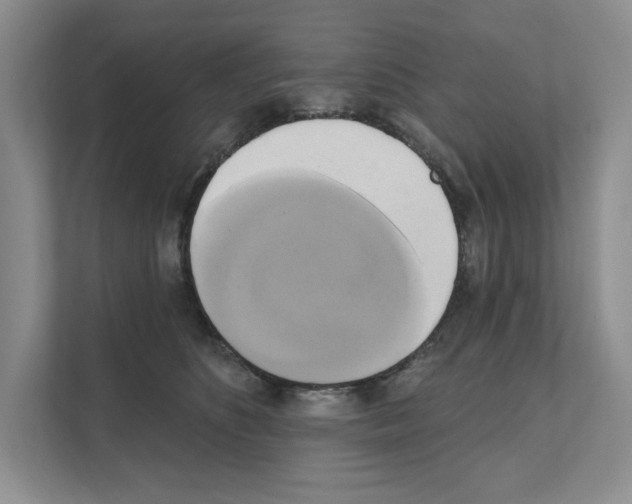 X0000111020516200907310934