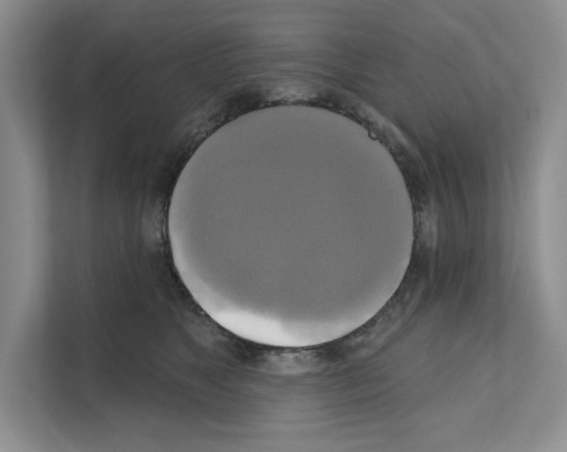 X0000111020517200907310934