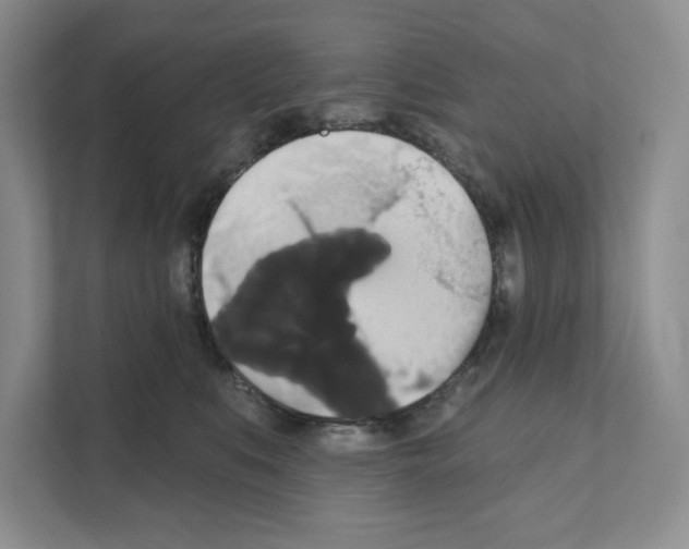X0000111020519200907310934
