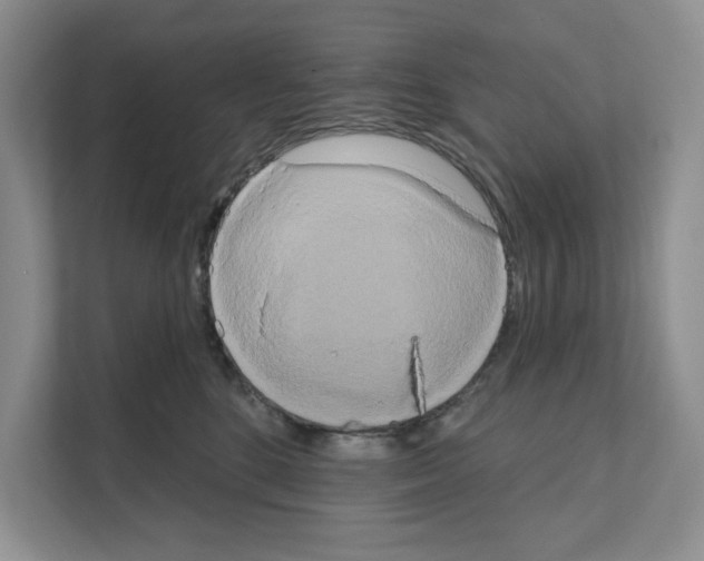 X0000111020520200907310934
