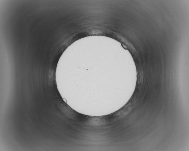 X0000111020521200907310934