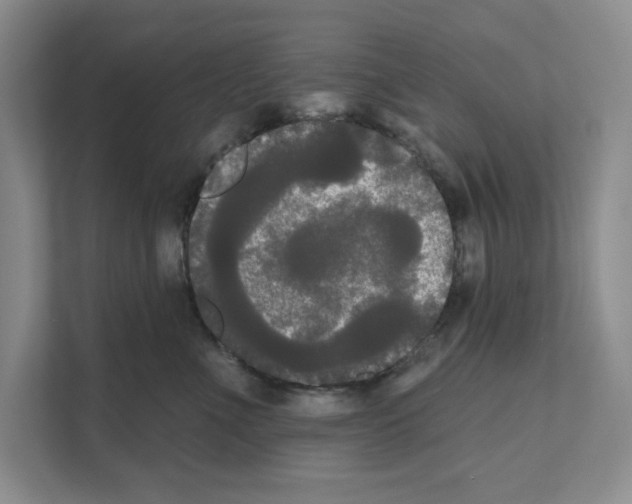 X0000111020523200907310934