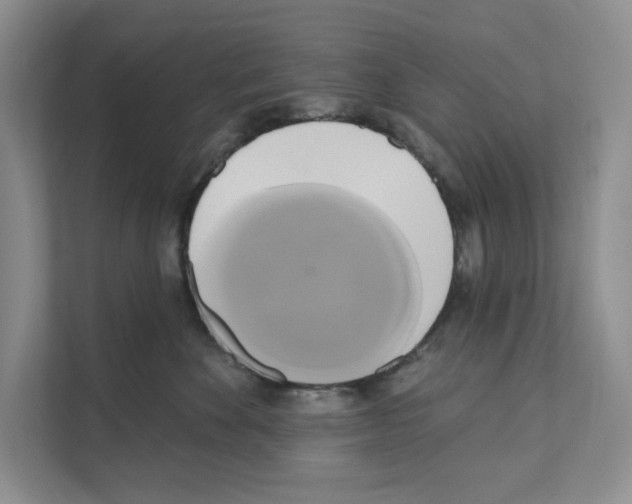 X0000111020524200907310934