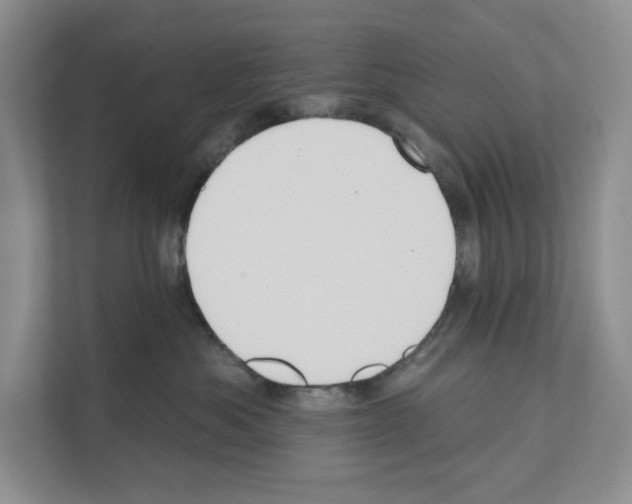 X0000111020525200907310934