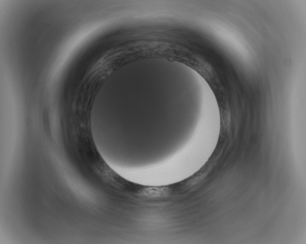 X0000111020526200907310934