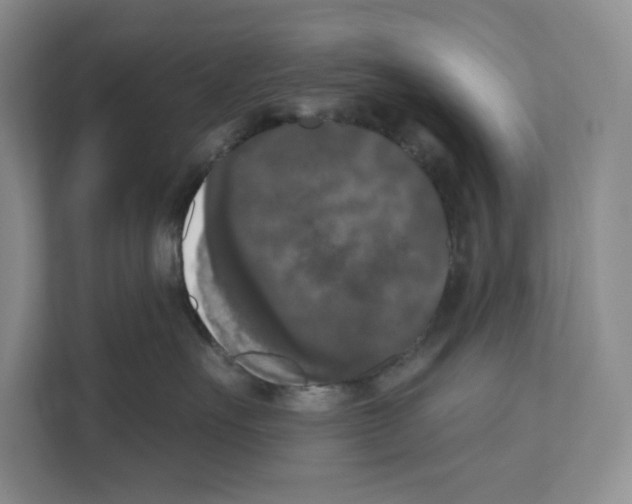 X0000111020527200907310934