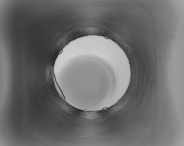 X0000111020528200907310934