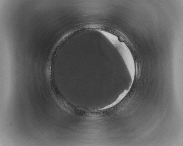 X0000111020531200907310933