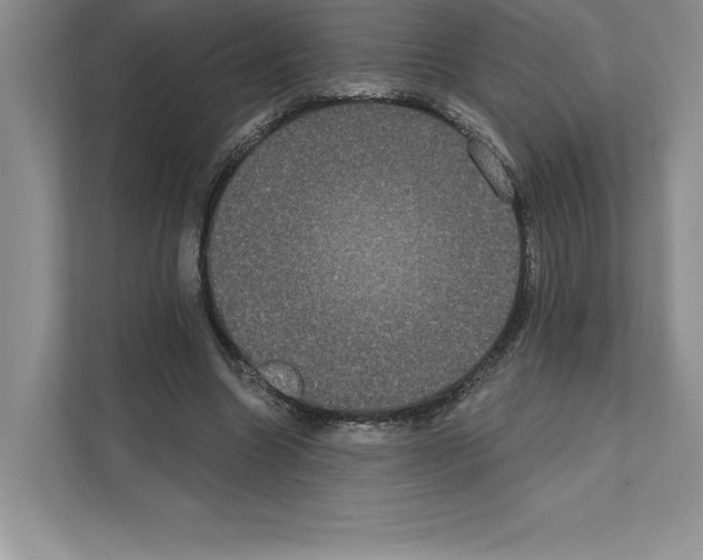 X0000111020538200907310934