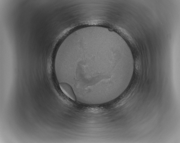 X0000111020540200907310934