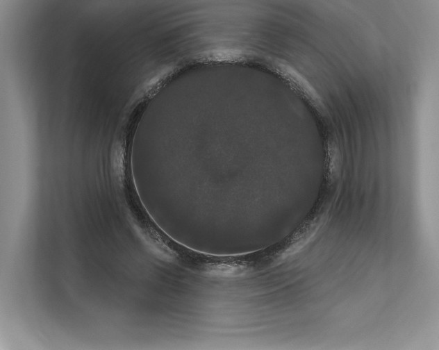 X0000111020542200907310934