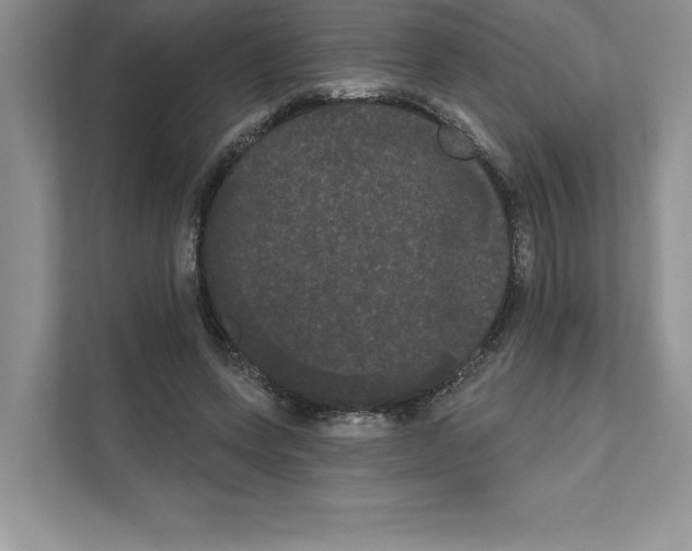 X0000111020543200907310934