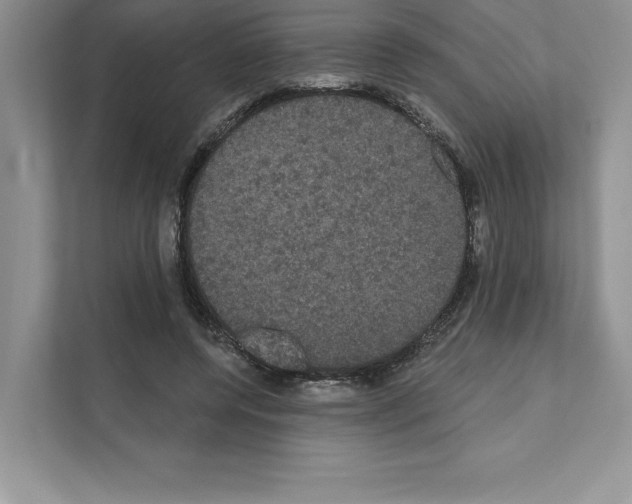 X0000111020544200907310934