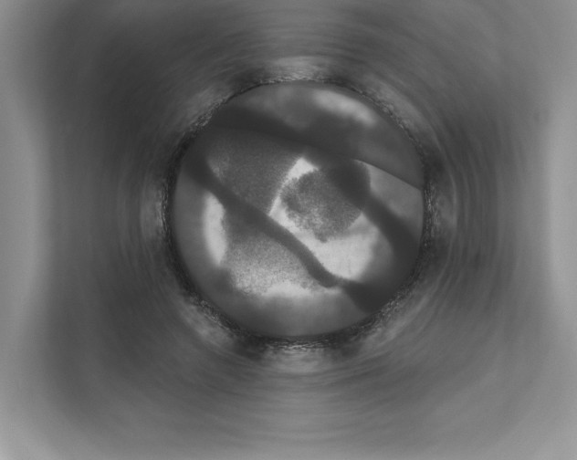 X0000111020546200907310934
