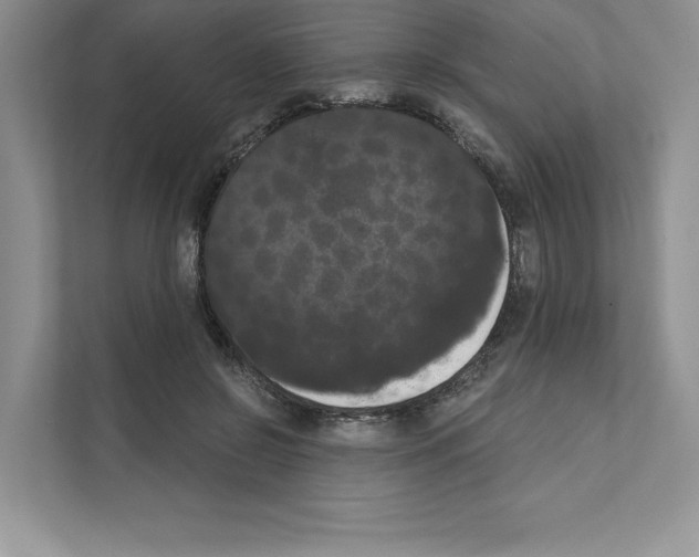 X0000111020550200907310934