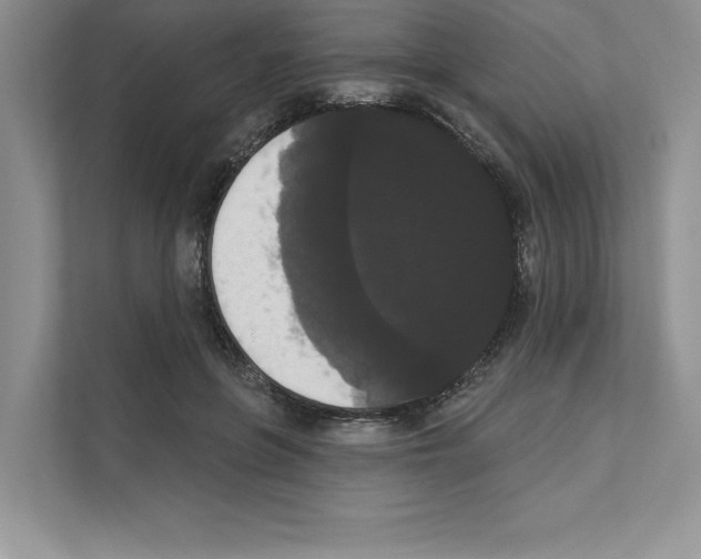 X0000111020551200907310934