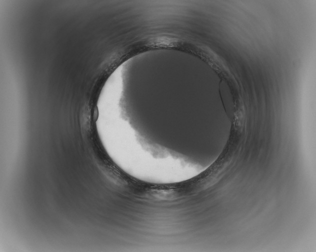 X0000111020552200907310934