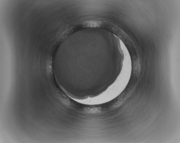 X0000111020553200907310934