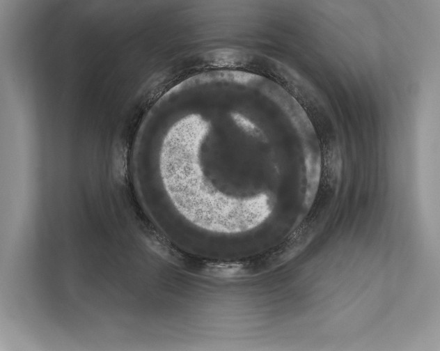 X0000111020554200907310934