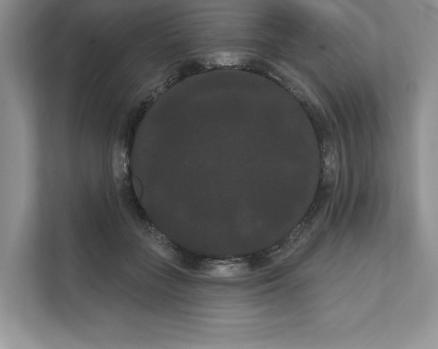 X0000111020555200907310934