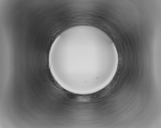 X0000111020556200907310934