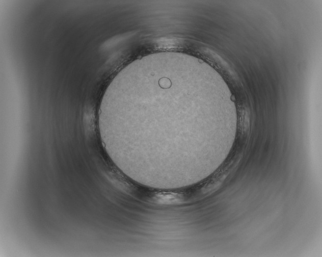 X0000111020557200907310934