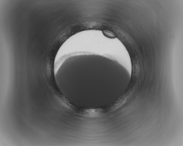 X0000111020558200907310934
