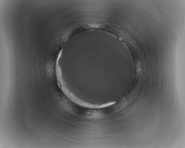 X0000111020559200907310934