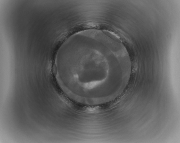 X0000111020560200907310934