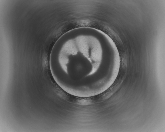 X0000111020561200907310934