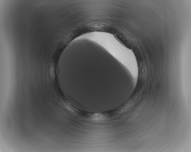 X0000111020562200907310934