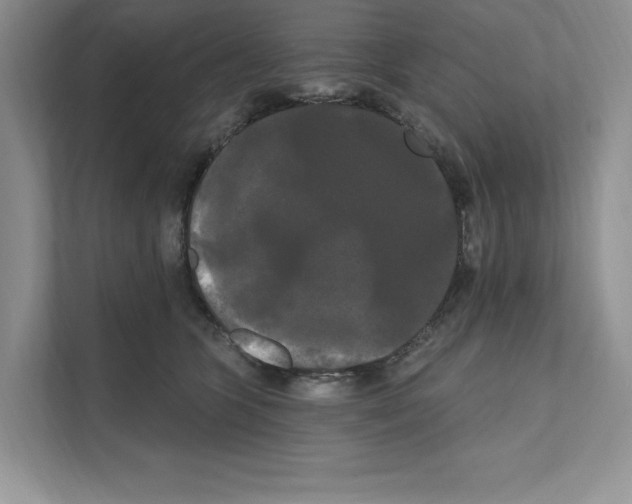 X0000111020563200907310934