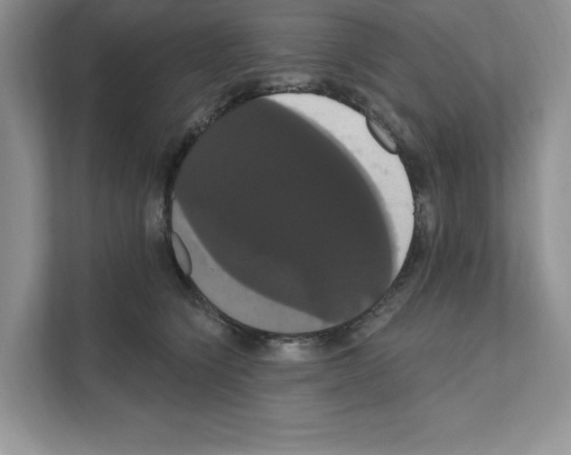 X0000111020564200907310934
