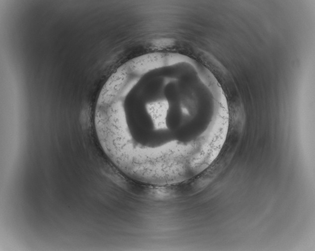 X0000111020565200907310934