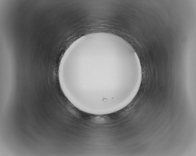 X0000111020566200907310934