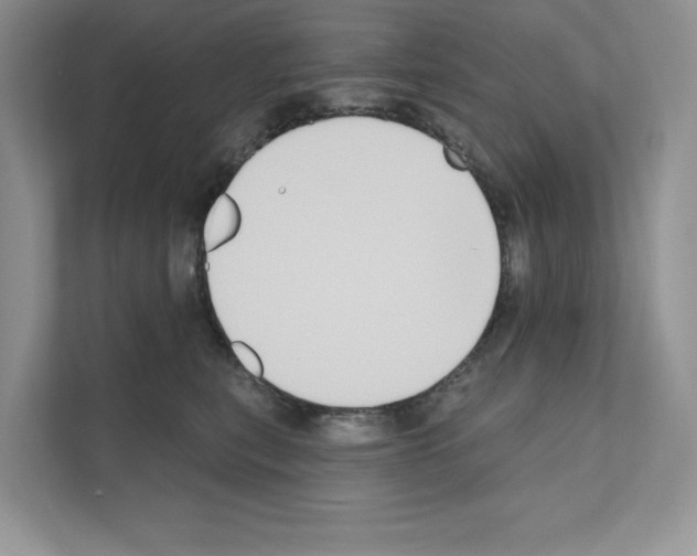X0000111020567200907310934
