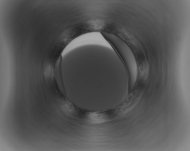 X0000111020568200907310934