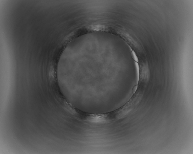 X0000111020569200907310934