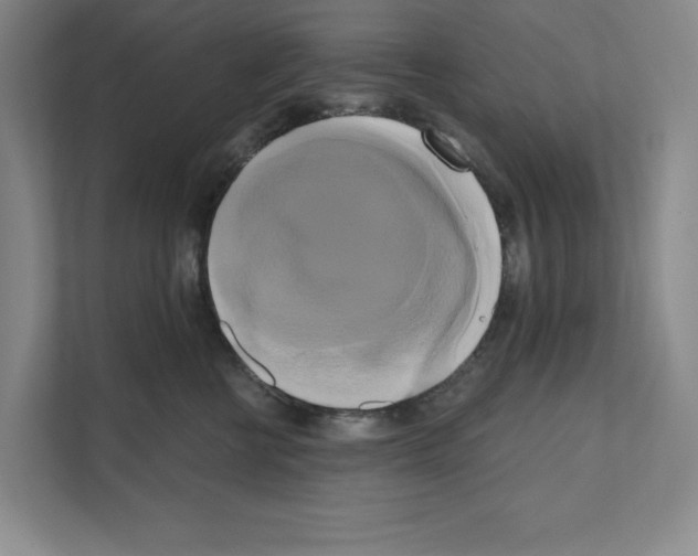 X0000111020570200907310934