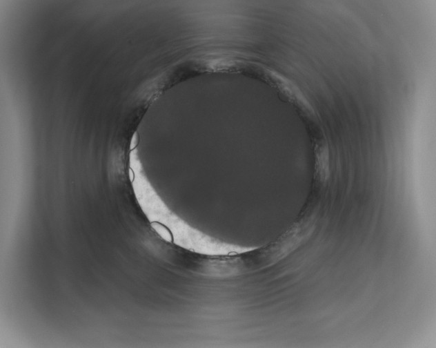 X0000111020571200907310934