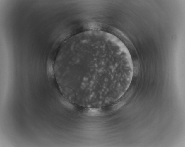 X0000111020573200907310934