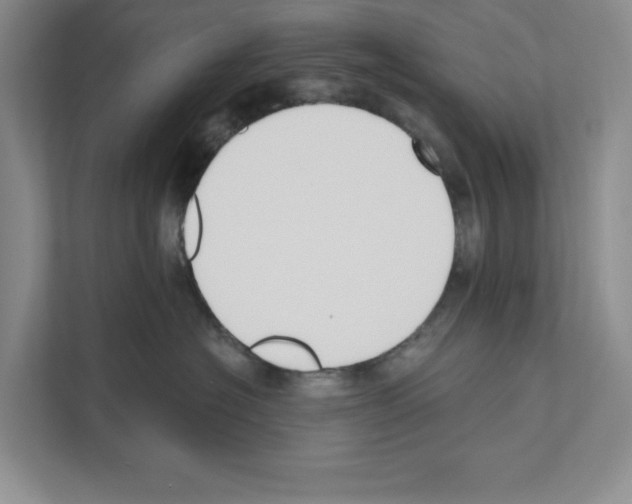 X0000111020574200907310934
