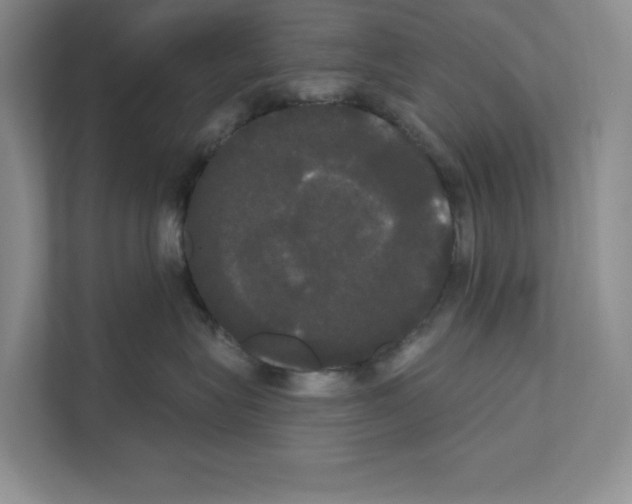 X0000111020575200907310934