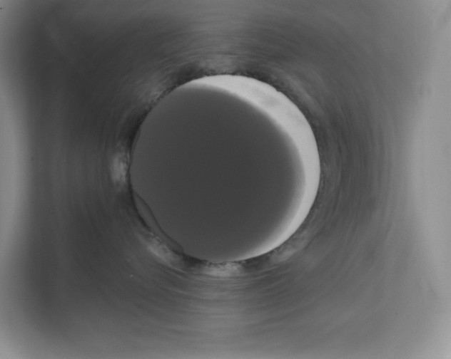 X0000111020576200907310934
