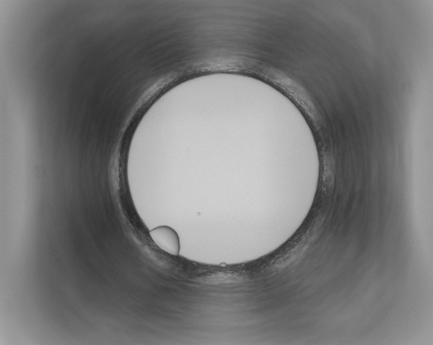 X0000111020578200907310933