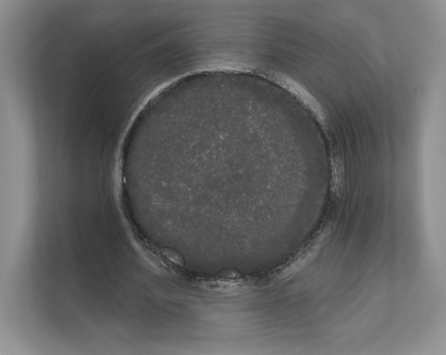 X0000111020580200907310933